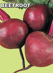 Agri Seeds