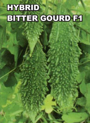 Agri Seeds