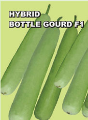 Agri Seeds
