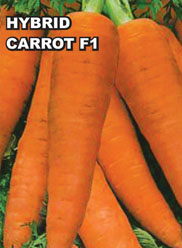 Agri Seeds