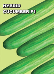 Agri Seeds