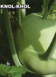 Agri Seeds