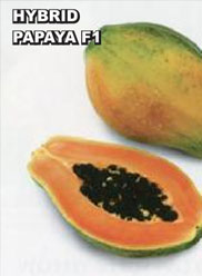 Agri Seeds