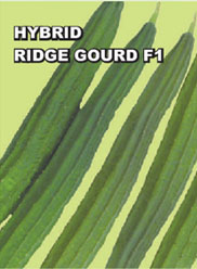 Agri Seeds