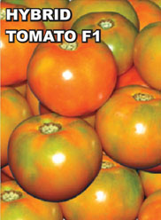 Agri Seeds