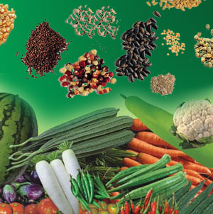 Vegetable seeds